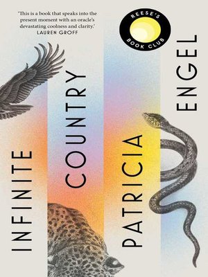 cover image of Infinite Country